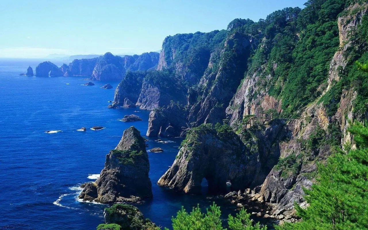 全自动信息化